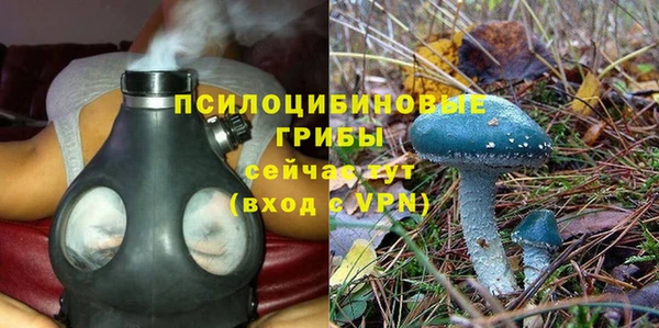 эйфоретик Алексеевка