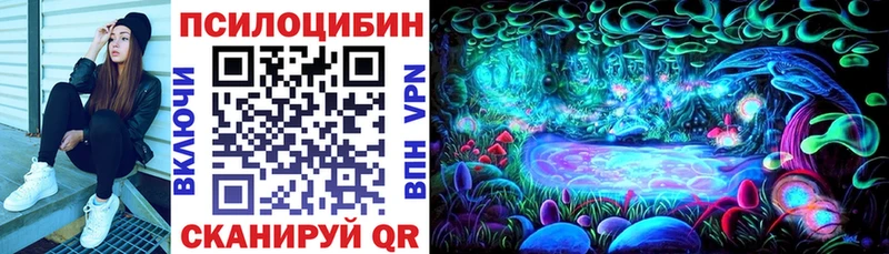 Галлюциногенные грибы мицелий  Трубчевск 