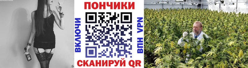 как найти   Трубчевск  Каннабис Amnesia 